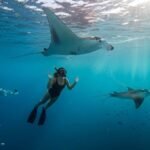 Snorkeling-at-Manta-Poin-Nusa-Penida-Transport-Bali