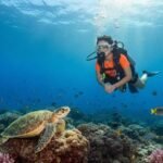 Snorkeling-at-Nusa-Penida-Transport-Bali
